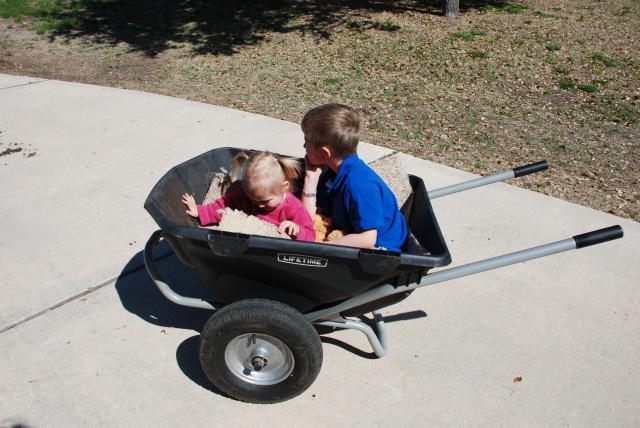 2010-03-14-Sydney Ian Wheelbarrow-3.jpg